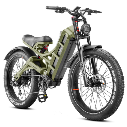 Romeo Pro Electric Bike