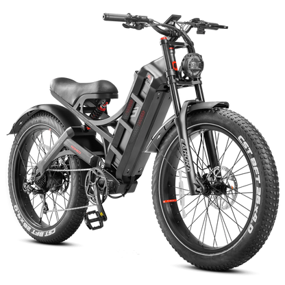 Romeo Pro Electric Bike